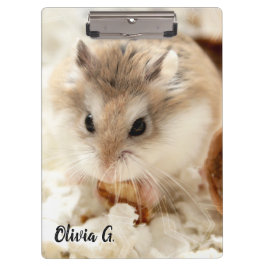 Carpeta De Pinza Hammyville - Cute Hamster