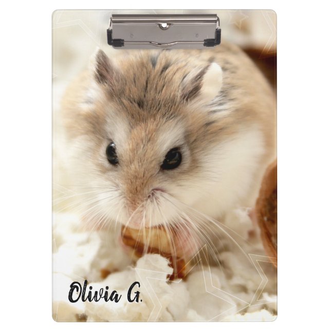Carpeta De Pinza Hammyville - Cute Hamster (Anverso)