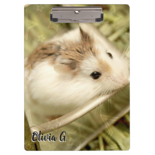 Carpeta De Pinza Hammyville - Cute Hamster