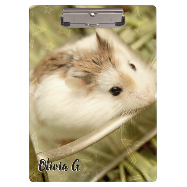 Carpeta De Pinza Hammyville - Cute Hamster (Anverso)
