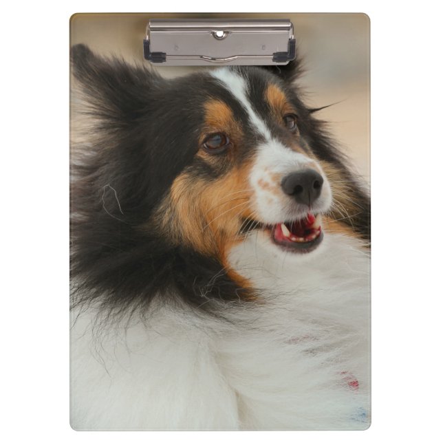 Carpeta De Pinza Happy Shelty Notebook (Anverso)