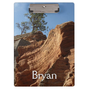 Carpeta De Pinza Hasta Angels Landing en Zion National Park