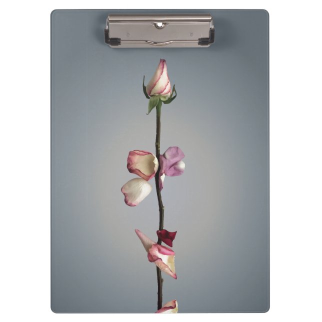 Carpeta De Pinza Hasta el último pétalo... (Anverso)