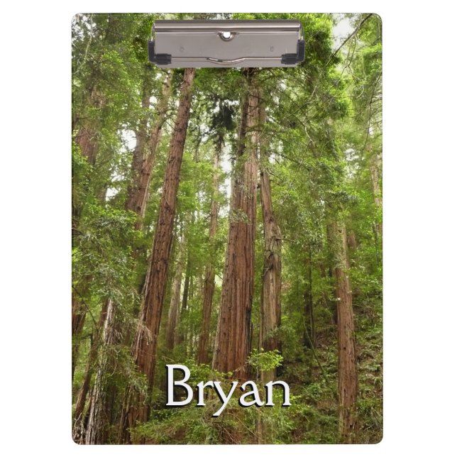 Carpeta De Pinza Hasta secuoyas en el Monumento Nacional Muir Woods (Anverso)