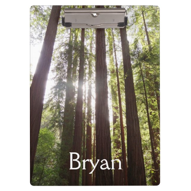 Carpeta De Pinza Hasta secuoyas por la mañana (Anverso)