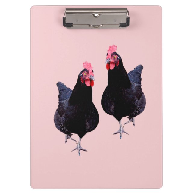 Carpeta De Pinza Haz La Caldera De Pollos Negros, (Anverso)