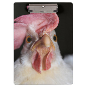 Carpeta De Pinza Hen