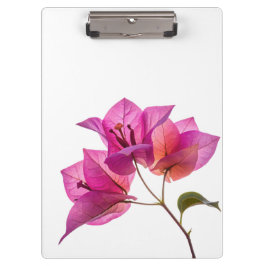 Carpeta De Pinza Hermosa Kagoj Phool Flor de Papel Botánica Flora