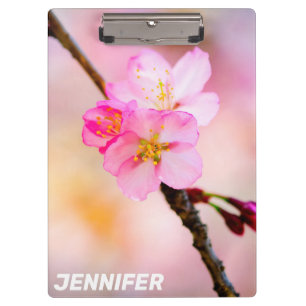 Carpeta De Pinza Hermosas flores de cerezo de Sakura