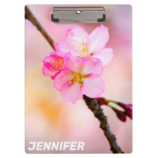 Carpeta De Pinza Hermosas flores de cerezo de Sakura (Anverso)