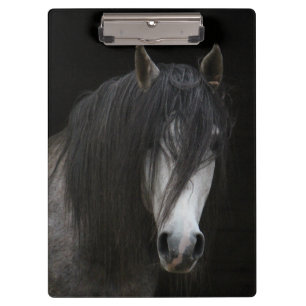 Carpeta De Pinza Hermoso caballo