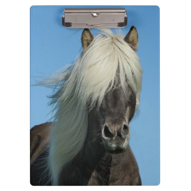 Carpeta De Pinza Hermoso caballo (Anverso)