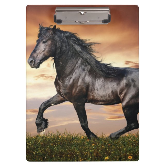 Carpeta De Pinza Hermoso caballo negro (Anverso)