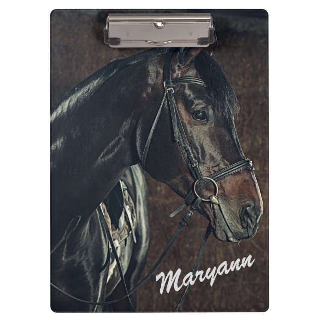 Carpeta De Pinza Hermoso caballo negro personalizado  (Anverso)