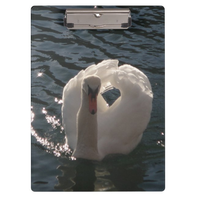 Carpeta De Pinza Hermoso cisne blanco (Anverso)