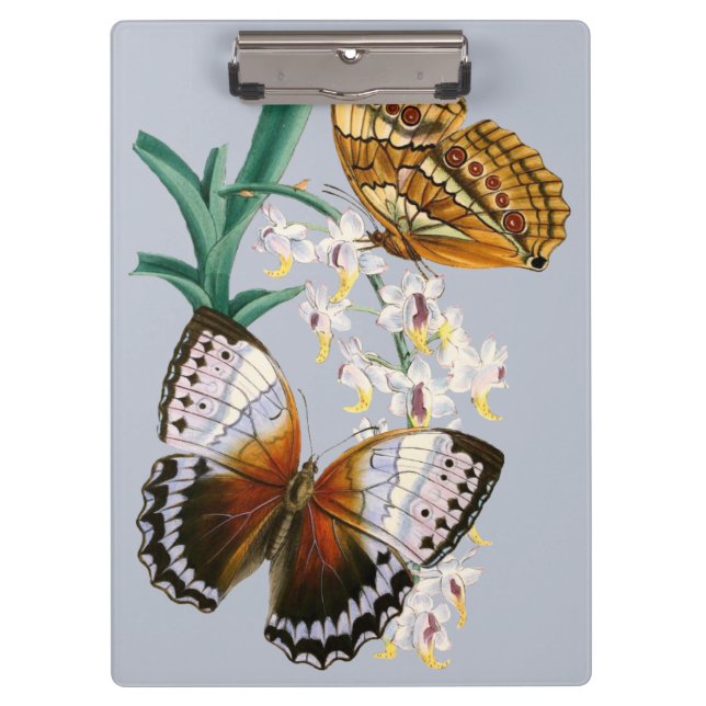 Carpeta De Pinza Hermoso Ilustracion de mariposa floral vintage (Anverso)