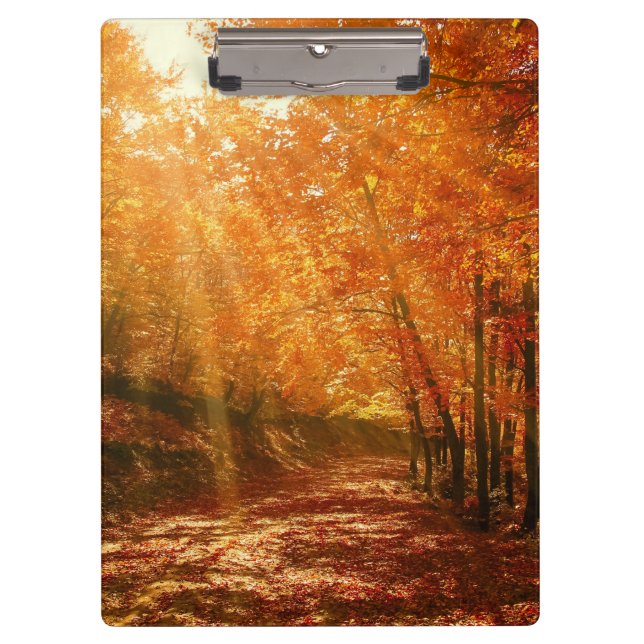 Carpeta De Pinza Hermoso otoño (Anverso)