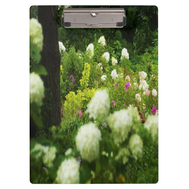 Carpeta De Pinza Hidrangeas livianas en mi jardín de Rubio (Anverso)