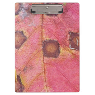 Carpeta De Pinza Hoja de caída roja punteada marrón