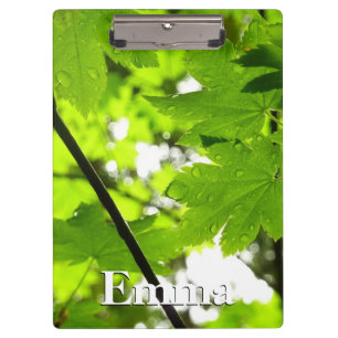 Carpeta De Pinza Hojas de arce con gotas de lluvia