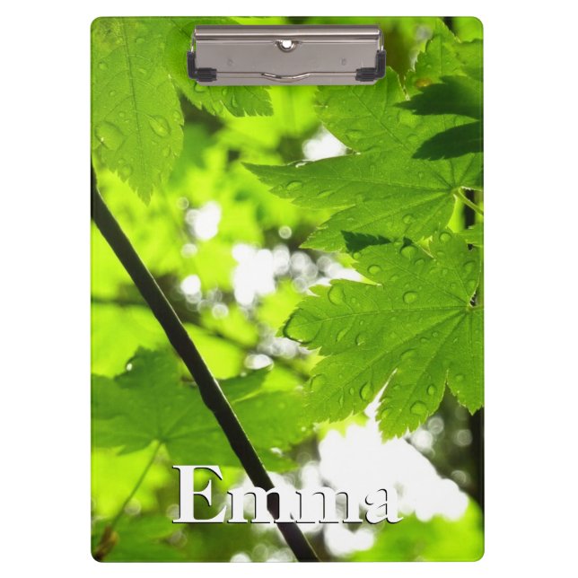 Carpeta De Pinza Hojas de arce con gotas de lluvia (Anverso)