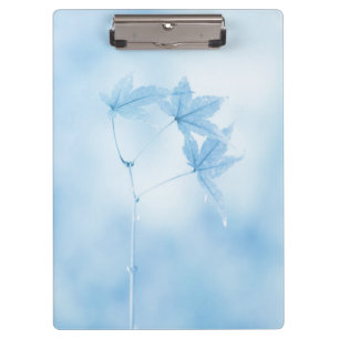 Carpeta De Pinza Hojas de arce japonesas en azul