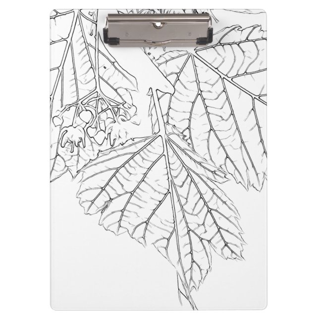 Carpeta De Pinza Hojas de Basswood (Anverso)