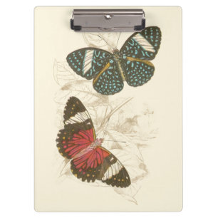 Carpeta De Pinza Hojas de la sepia con las mariposas coloridas