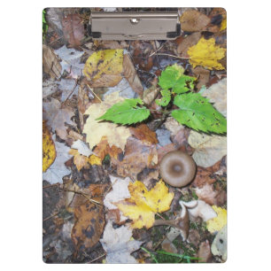 Carpeta De Pinza Hojas forestales