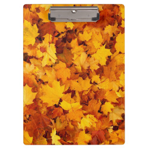 Carpeta De Pinza Hojas otoñales