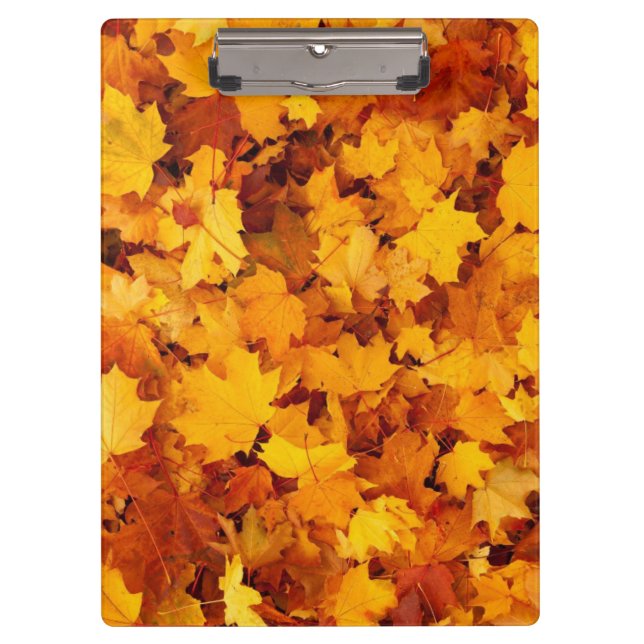 Carpeta De Pinza Hojas otoñales (Anverso)
