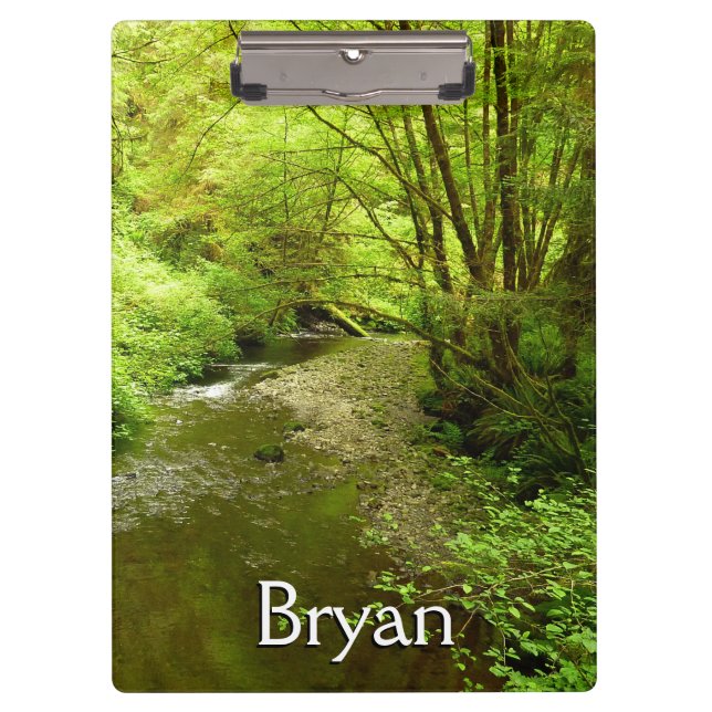 Carpeta De Pinza Hombre perdido en el parque nacional Redwood (Anverso)