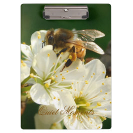 Carpeta De Pinza Honey Bee Plum Blossom Nature Study Clipboard