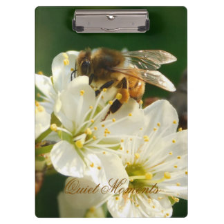 Carpeta De Pinza Honey Bee Plum Blossom Nature Study Clipboard