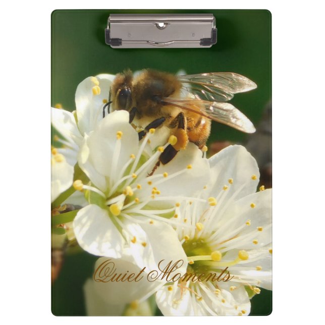 Carpeta De Pinza Honey Bee Plum Blossom Nature Study Clipboard (Anverso)