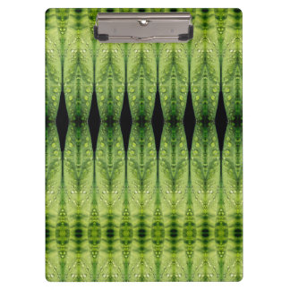 Carpeta De Pinza Hosta La Vista 4 Recoleta