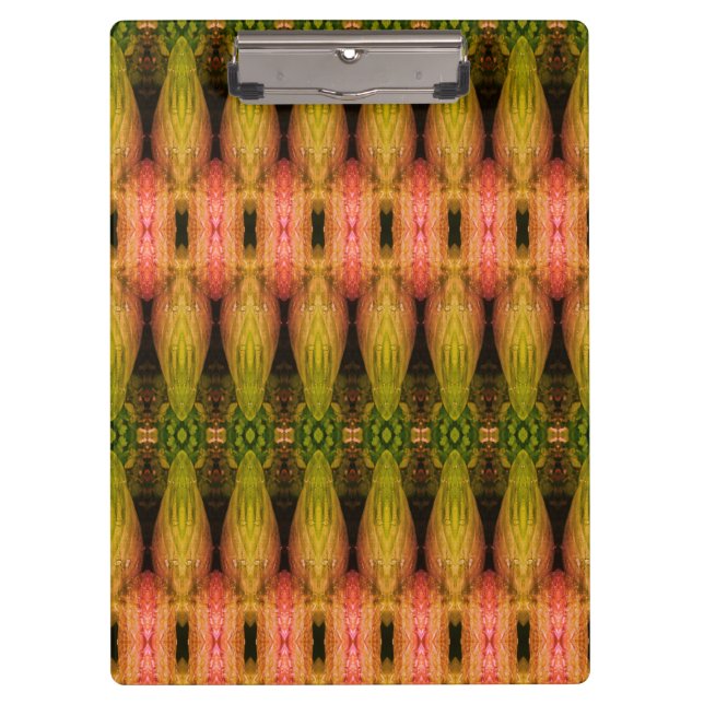 Carpeta De Pinza Hosta La Vista Too 12 1974 (Anverso)