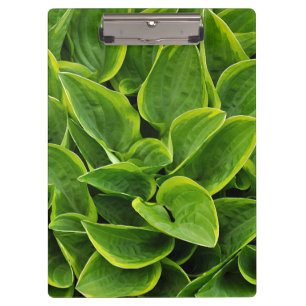 Carpeta De Pinza Huella verde