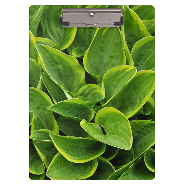 Carpeta De Pinza Huella verde (Anverso)