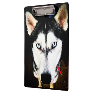 Carpeta De Pinza Husky