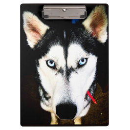 Carpeta De Pinza Husky