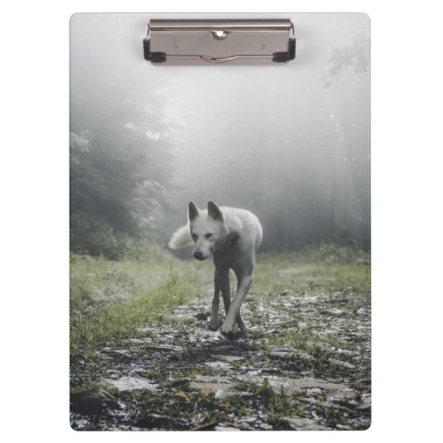 Carpeta De Pinza Husky Siberiano Blanco (Anverso)