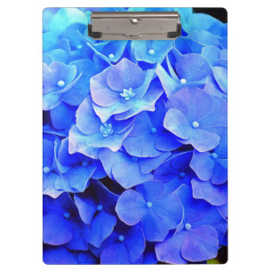 Carpeta De Pinza Hydrangea Blues