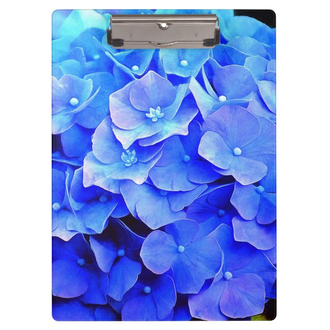 Carpeta De Pinza Hydrangea Blues (Anverso)