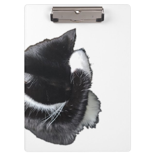 Carpeta De Pinza I Can't Even Right Meow (Anverso)