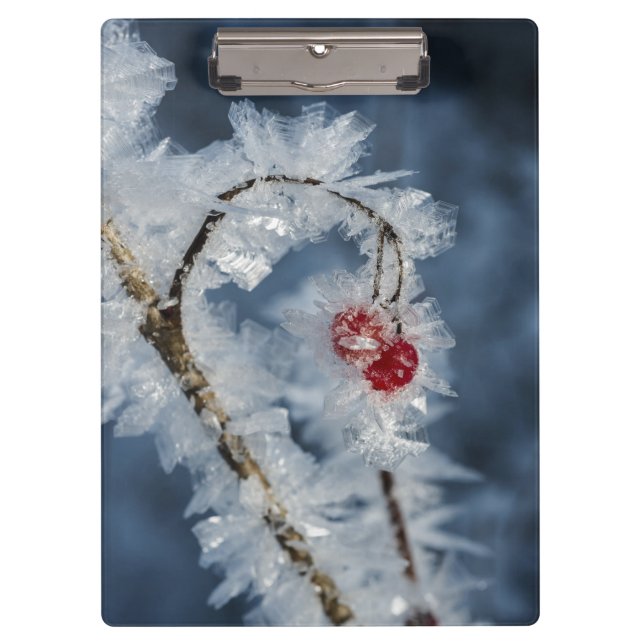 Carpeta De Pinza Ice Berries (Anverso)