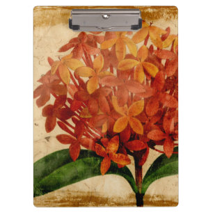 Carpeta De Pinza III floral vibrante