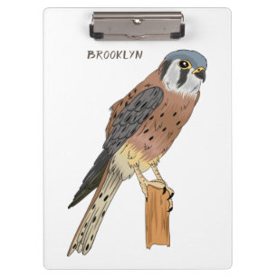 Carpeta De Pinza Ilustracion americano de aves de Kestrel