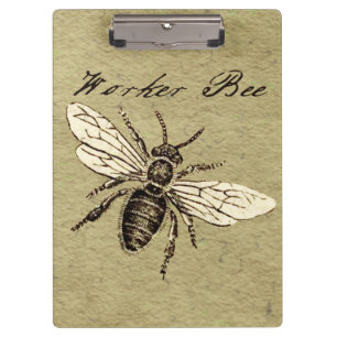 Carpeta De Pinza Ilustración Antigüedad Insecto Abeja Obrera Vintag