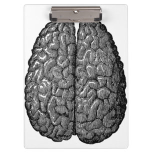 Carpeta De Pinza Ilustracion del cerebro humano del vintage